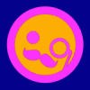 N00T