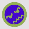 kuonji